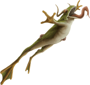 Illustration of a 'green bullfrog'. Shows a jumping frog with mushroom growths.